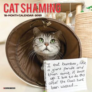 Cat Shaming Calendar 2025