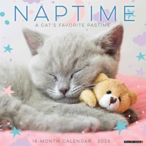 Naptime Cats Calendar 2025