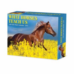 What Horses Teach Us Desk Calendar 2025