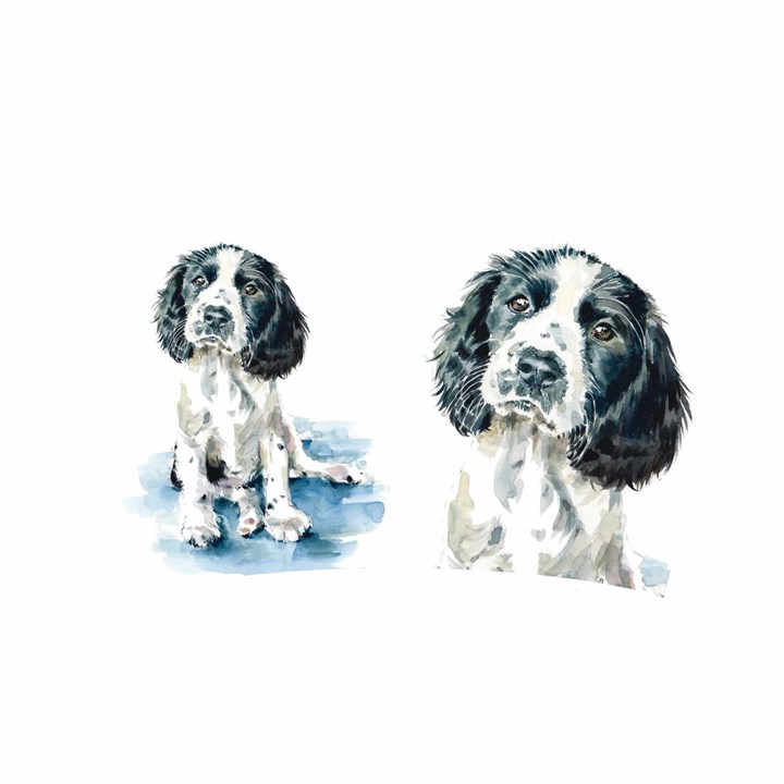 Puppy Dog Eyes, Springer Spaniel Latte Mug