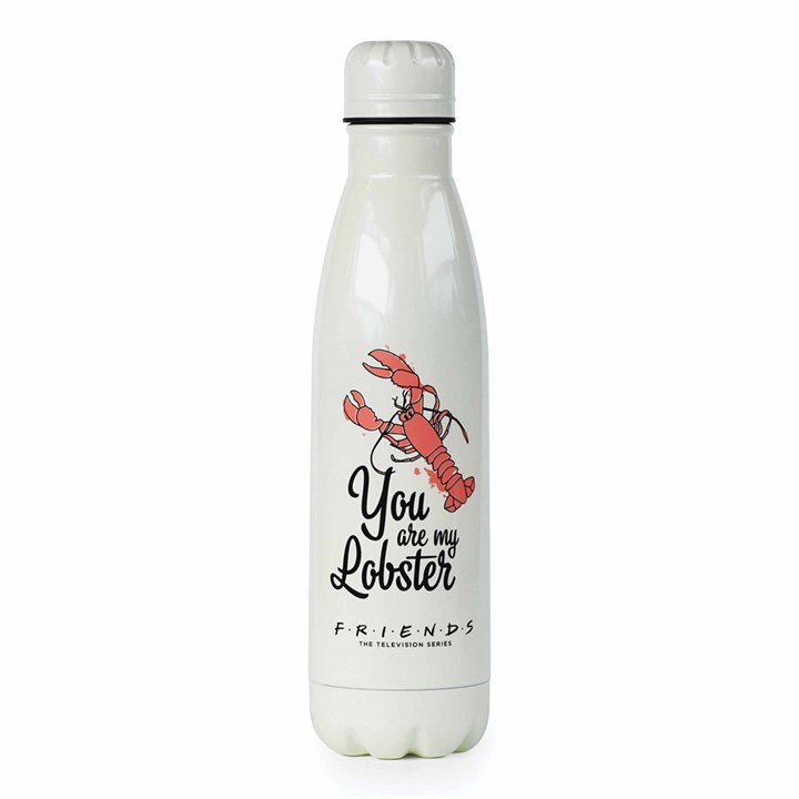 Friends You’re My Lobster Water Bottle