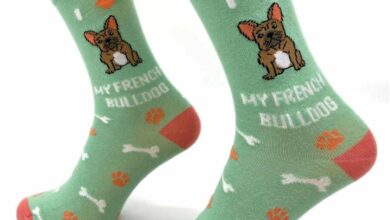 I Heart My French Bulldog Socks - Size 4 - 8