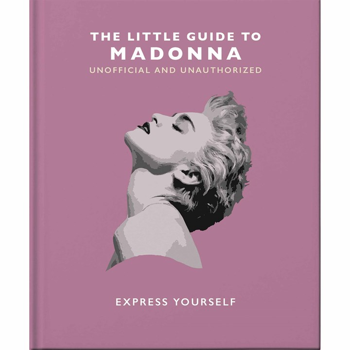 The Little Guide To Madonna