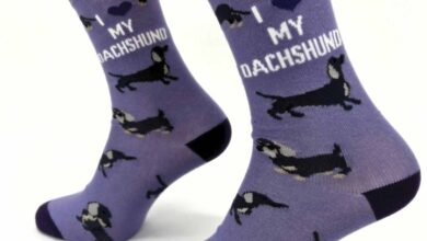 I Heart My Dachshund Socks - Size 4 - 8