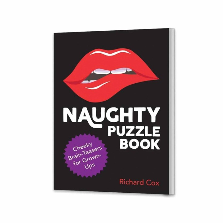 Naughty Puzzle Book
