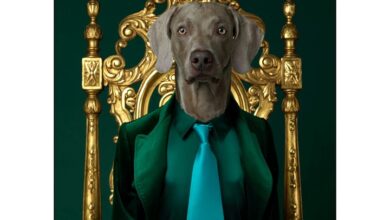 William Wegman