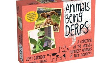 Animals Being Derps Desk Calendar 2027