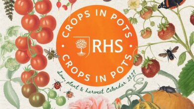 RHS