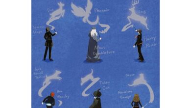 Harry Potter