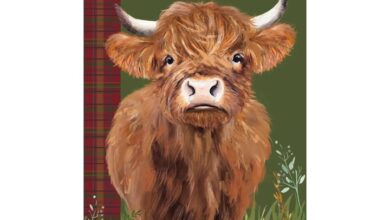 Highland Cows Slim Diary 2027
