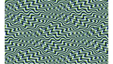 Optical Illusions Calendar 2027