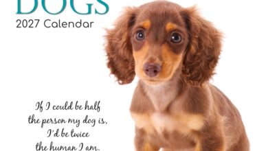 Adorable Dogs Calendar 2027