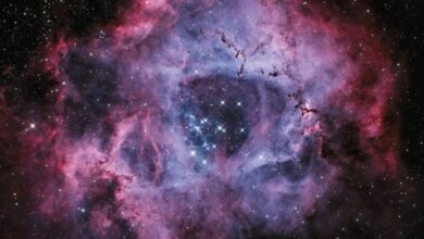 Space Calendar 2027