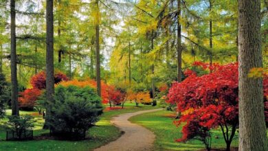 Westonbirt