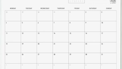 Conscious Sage Calendar 2027