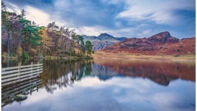 Scenic England Family Organiser 2027