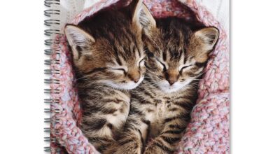 Cat Naps A5 Diary 2027