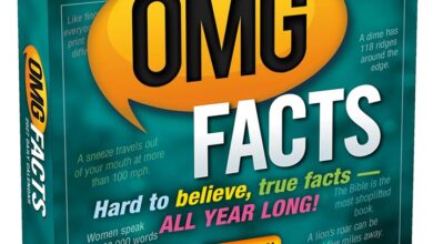 OMG Facts Desk Calendar 2027