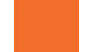 Orange Classic Academic Day To View A4 Diary 2026 - 2027