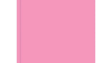 Pink Classic Academic Day To View A5 Diary 2026 - 2027