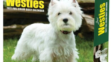 Just Westies Desk Calendar 2027