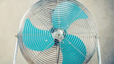 Only Fans Calendar 2027