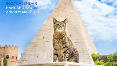 Cats of the World Calendar 2027