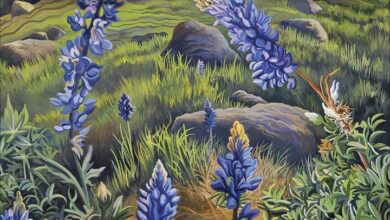Phyllis Shafer