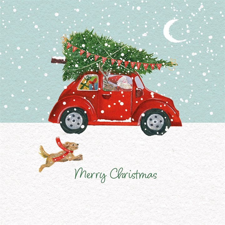 Taking the Tree Home, 10 Christmas Cards