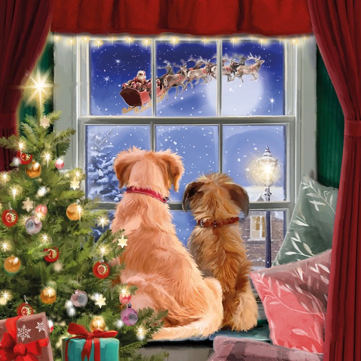 Watching Santa, 10 Christmas Cards