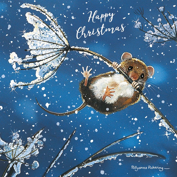 RSPB, Cow Parsley Mouse 10 Christmas Cards