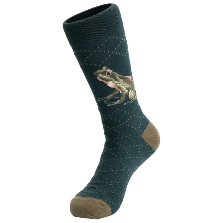 Wrendale Designs, Happy Frog Socks – Size 7 – 11