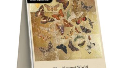 The Natural World Easel Desk Calendar 2027