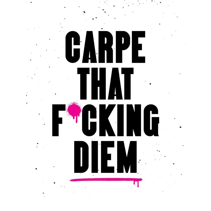 Carpe That F*cking Diem Book
