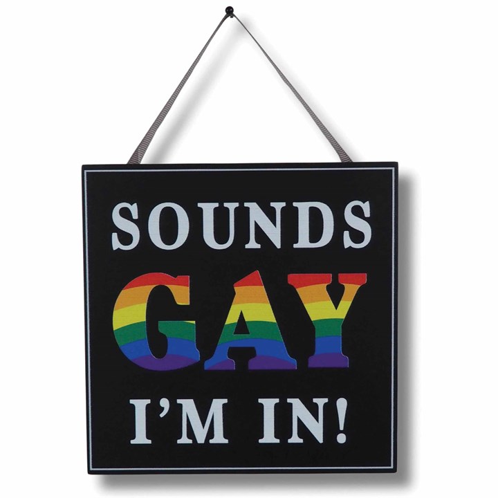 Sounds Gay Im In – Hanging Plaque